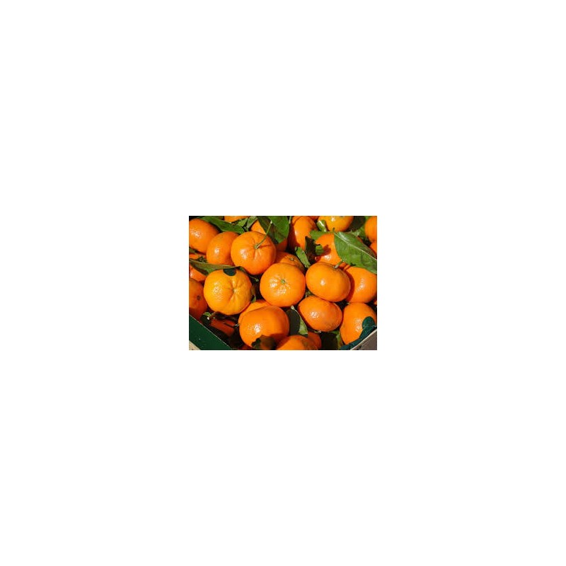 Mandarina 100 gr