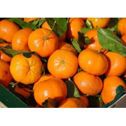 Mandarina 250 gr
